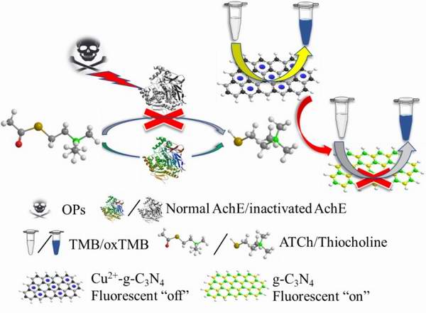 1625814373584024073.jpg 调整大小 222.jpg