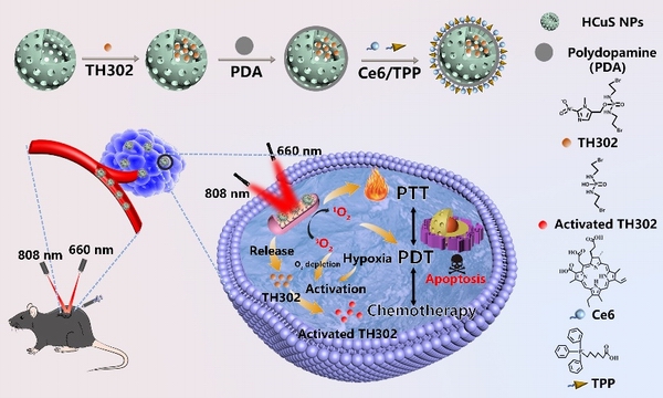 1648257738294037548.jpg 调整大小 111.jpg