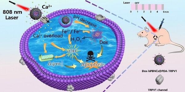 1648257768176072895.jpg 调整大小 222.jpg