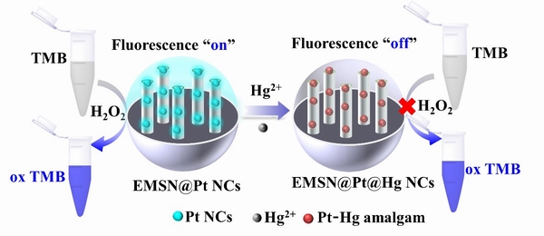 1648263364904095471.jpg 调整大小 333.jpg