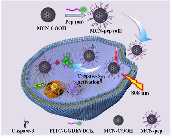 1648263390222054837.jpg 调整大小 444.jpg