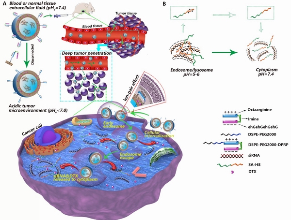 1650539208542098303.jpg 调整大小 111.jpg