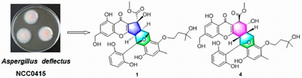 1650966082502090905.jpg 调整大小 111.jpg