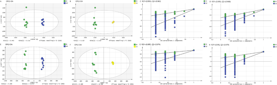 1654008735462029981.png 014.png