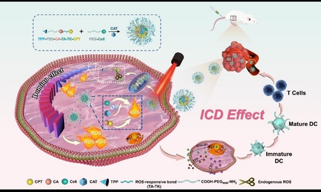 1735260387703067693.jpg 111.jpg