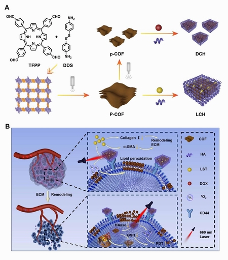 1735260641687087038.jpg 222.jpg