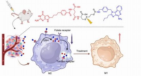 1745388243687018902.jpg 555.jpg