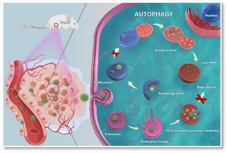 1745573657330053842.jpg 111.jpg