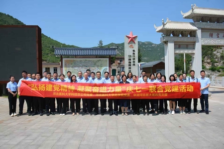 1752660033351051726.jpg 666.jpg